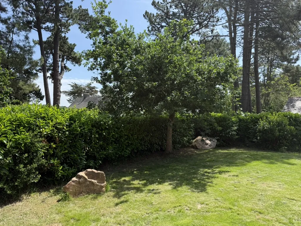 Pelouse et arbres du jardin