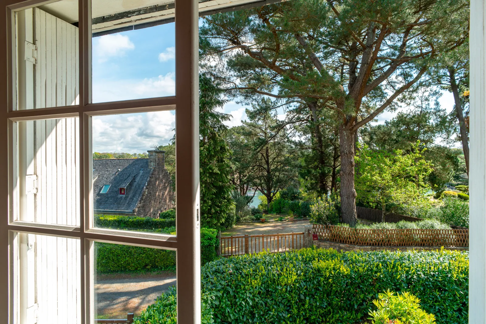 Vue sur le jardin et les pins depuis une fenêtre
